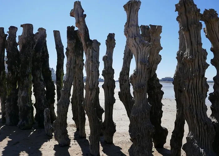 Couette-café Rue Veillon